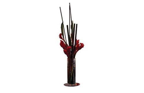 Ginger Torches in Cylindrical Vase