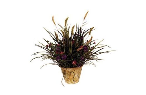 Italia Grass