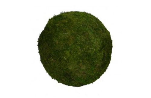 Foliage: Large Moss Ball 9x9x9