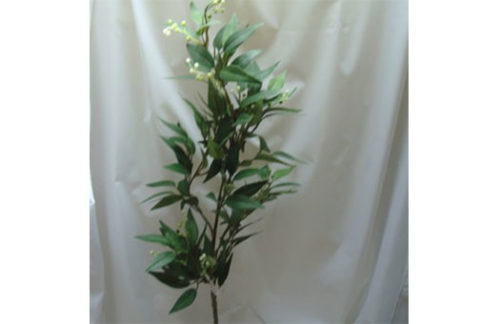 Osmanthus Sprays