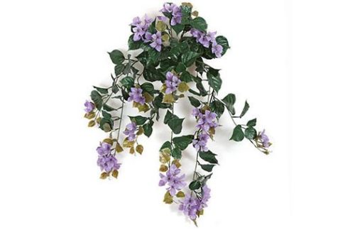 Foliage & Containers