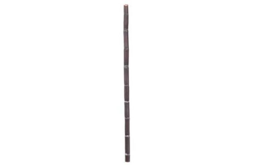 Sugar Cane Stems, 5ft,  Thin