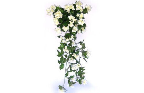 Bouganvilla Vine Cluster, White (Tote)