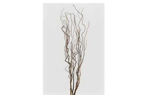 Floral:  Curly Willow Silks (groups of 6)