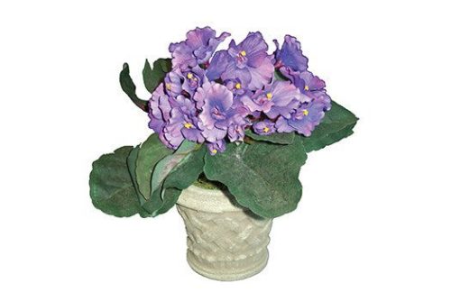 African Violets Centerpiece
