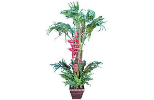 Helic/Banana Palm, 6ft (Case of 2)