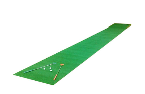 Mini Golf, Hole in One with 30ft of Green