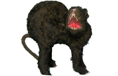 Giant Rats with fur