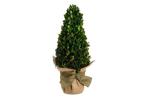 Holiday Centerpieces Preserved Boxwood event decor rentals Large