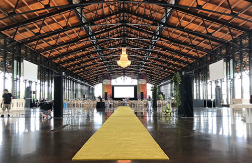 Gold Carpet 5'x100'