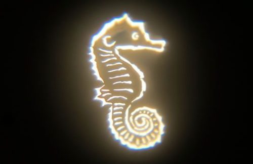 Lighting Design: Sea-Horse