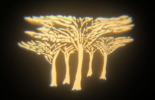 Lighting Design: Safari Trees