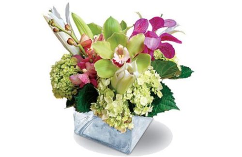 Orchid Bliss Centerpiece