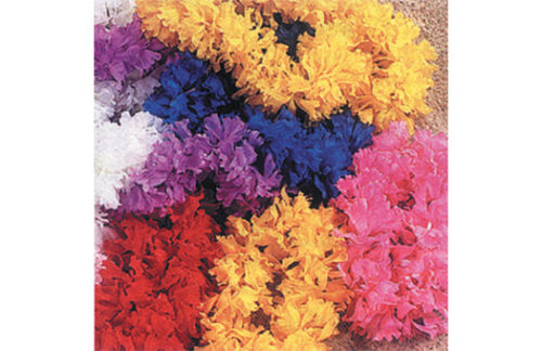 Mardi Gras Leis
