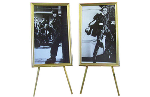 Movie Star: Errol B&W Gold Frame