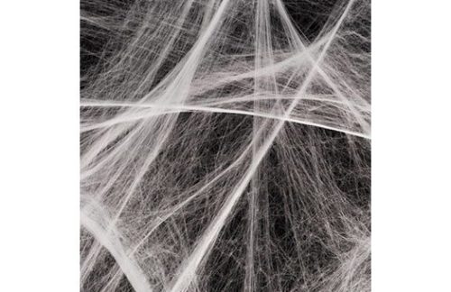 Stretchable Spider Web