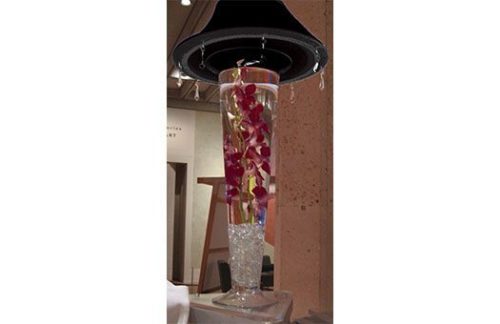 Black Shade with Red Orchids