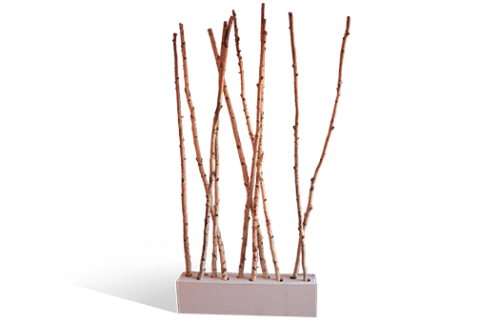 Planter Box w/ Birch Branches