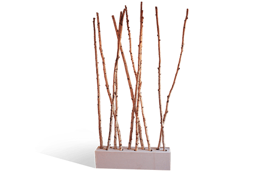 accessories birch planter