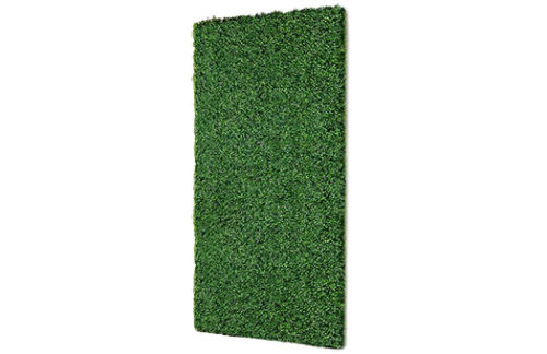 Boxwood Wall 4x8'