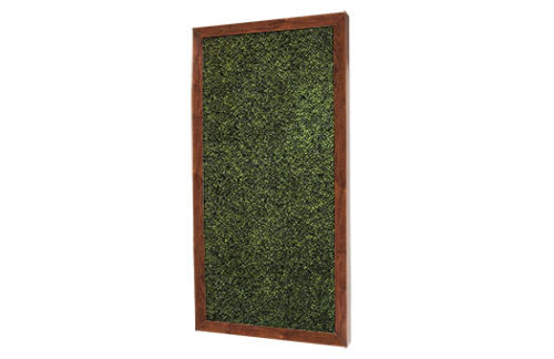 Boxwood Wall w/ Chestnut Frame