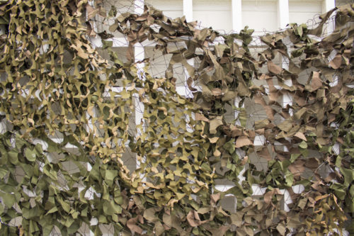Camo Net