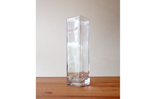 Clear Glass Vase 2x8x2