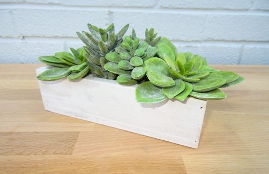 centerpieces silks succulent garden in wood container 5.5in large