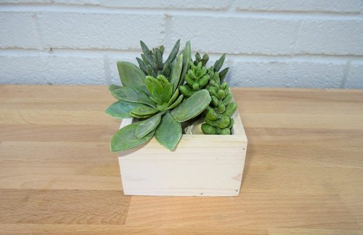 centerpieces silks succulent garden wood container 6in large