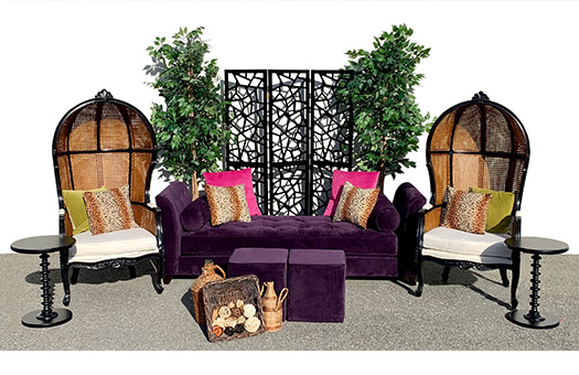 designer kits purple lounge IMG 0506 large