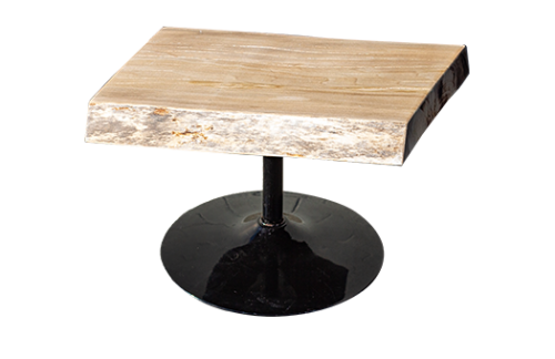 Sycamore Live Edge End Table with black aluminum stem and circular base
