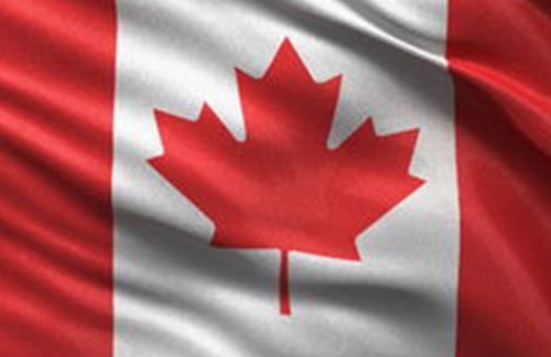 Canada Flag on 2ft stick
