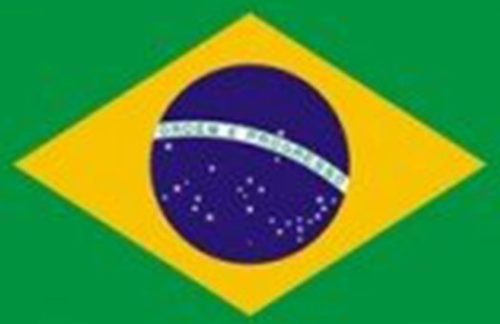 Brazil Flag on 2ft stick