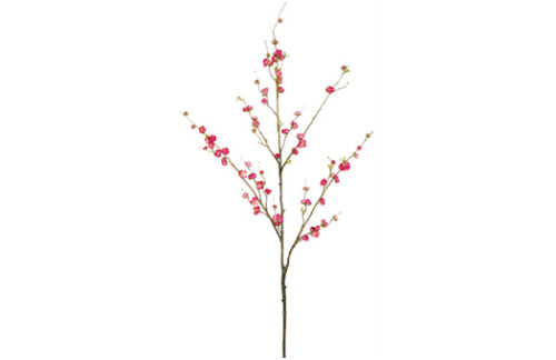 Cherry Blossoms, Pink Stems 48"