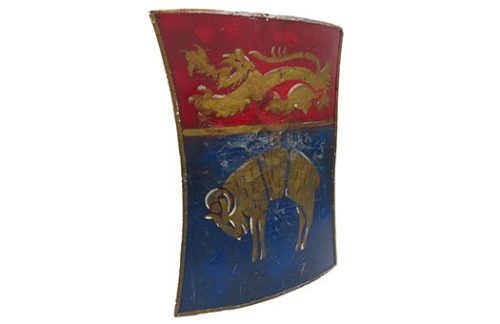 Medieval Target Shield with Ram