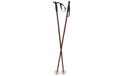 Vintage Ski Poles
