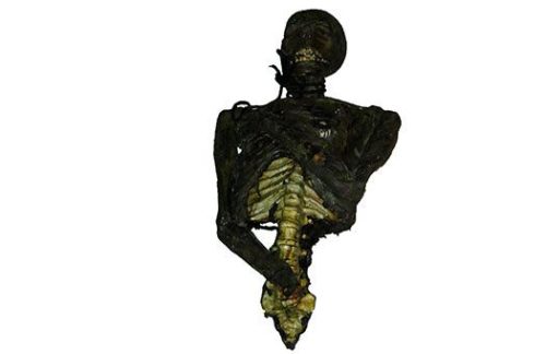 Burnt Zombie Torso