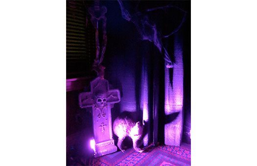 props halloween skull cross tombstone event decor rental Army Navy Large