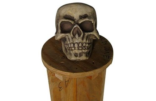 Prop:  Halloween, Skulls