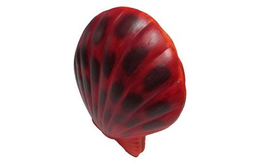 Red Clam Shell