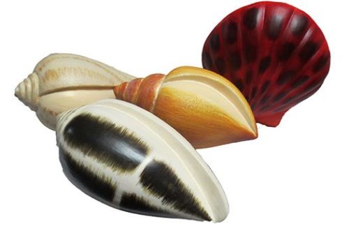 Shells, Mixed Kit of 4 to 6/Box