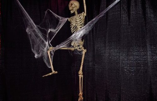 Life-Size Skeleton, 5'