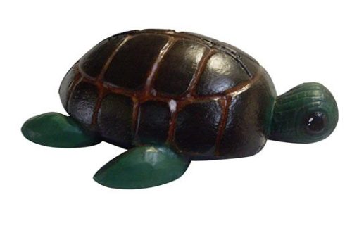 Large Turtles
