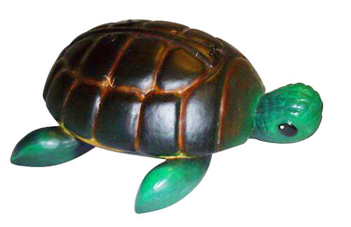 Small Turtles