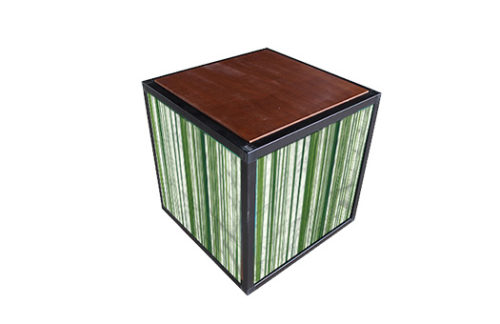 Besto End Table w/ Chestnut Birch Top & Spring Grass Sides