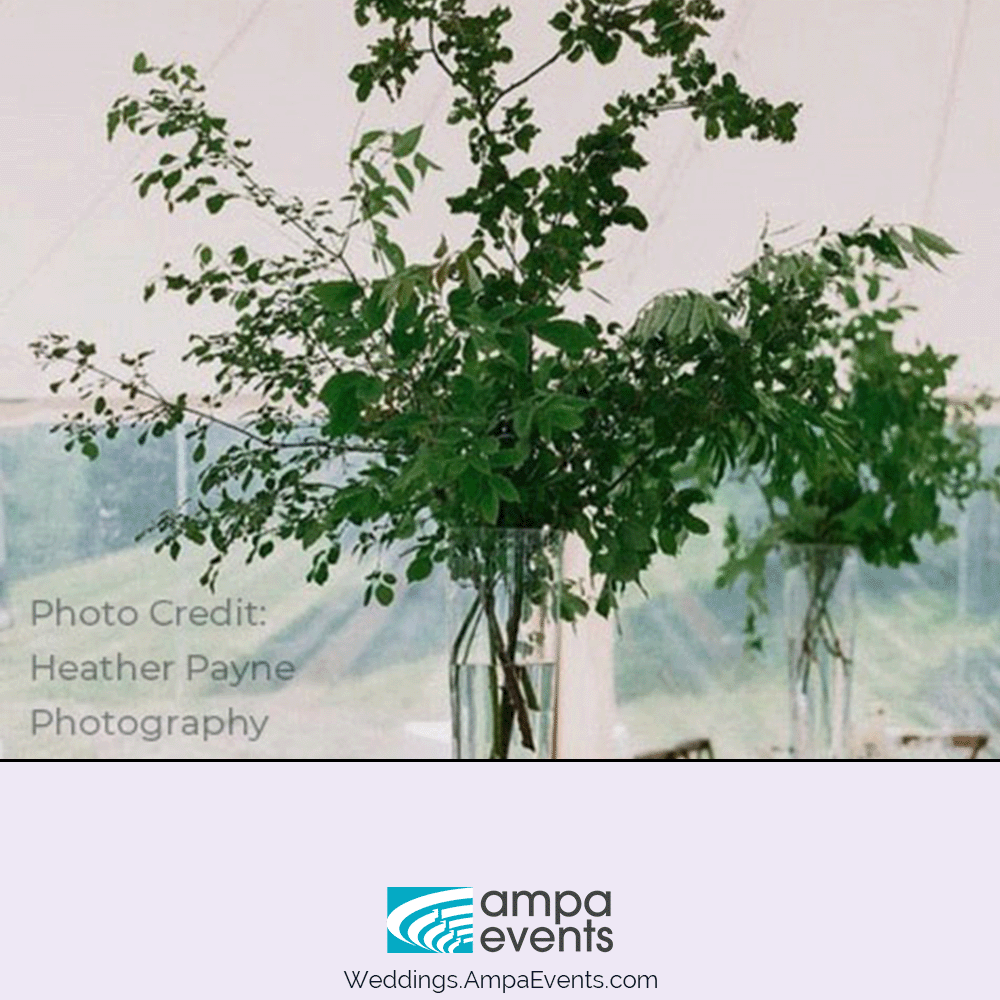 Featured Image with Wedding Greenery