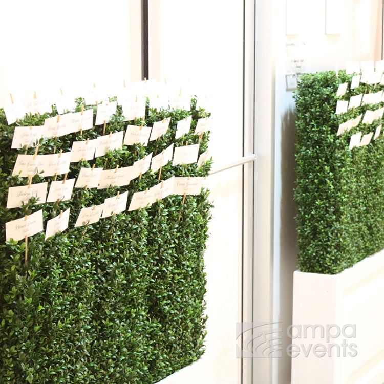 Boxwood Hedges for Escort card display