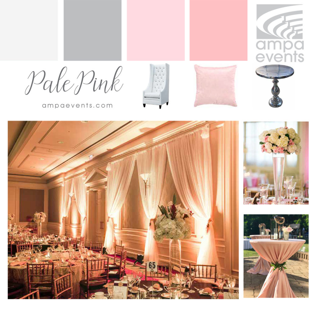 pale pink color palette graphic