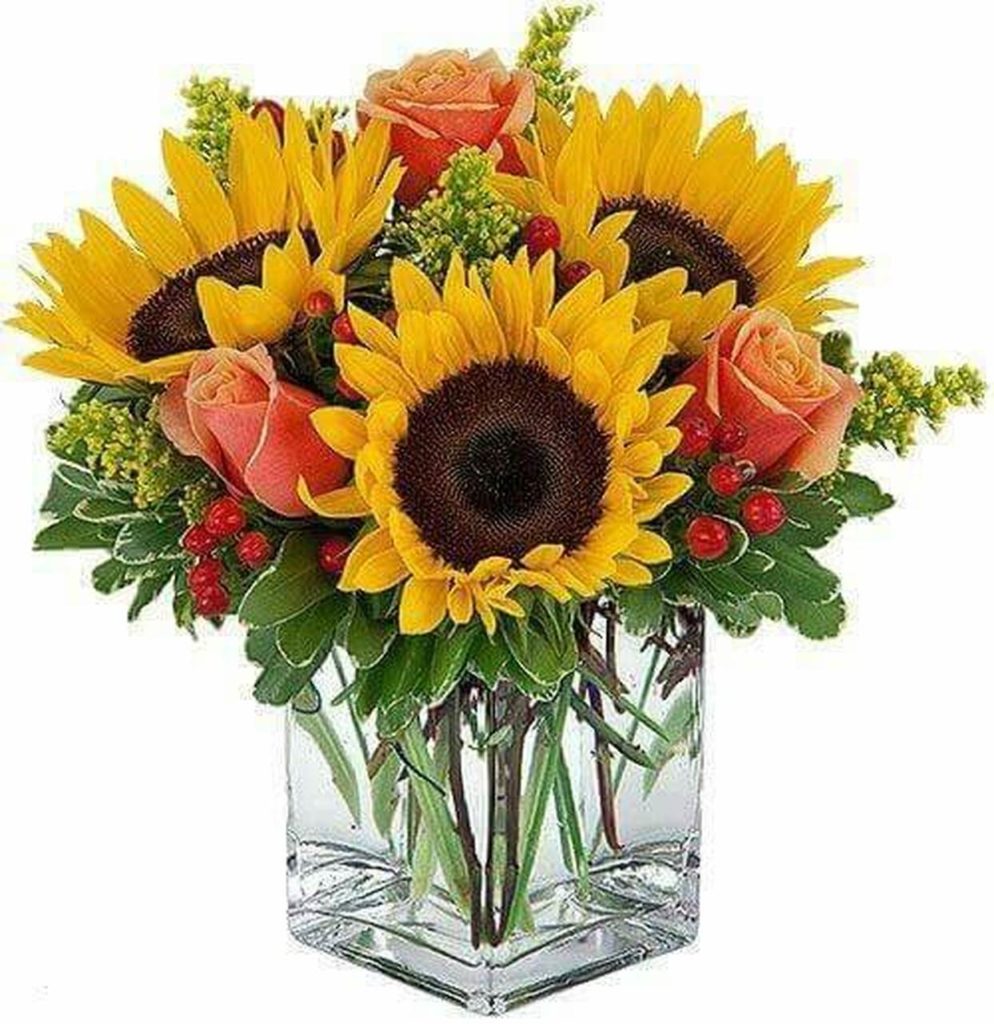 cheerful sunflowers 1 31875.1558117213