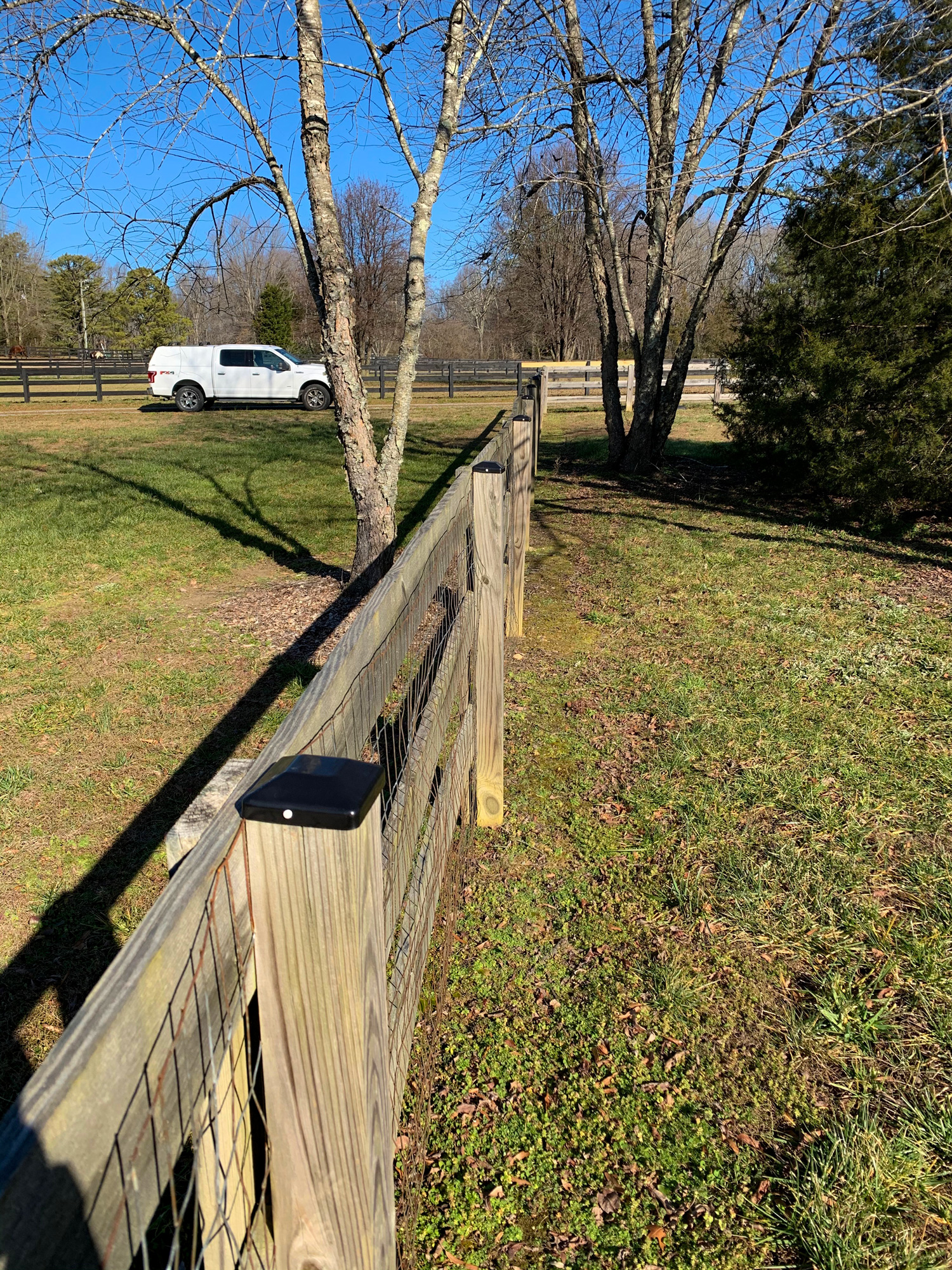 Fence Repair IMG 2063